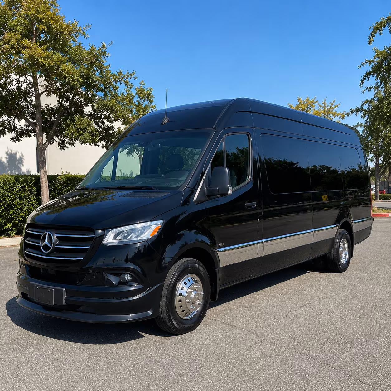 sprinter vans and small buses for marysville specialty and enrichment trips